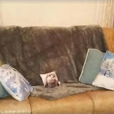 Les Vosges Ca Vous Tente ? Nyaraló *